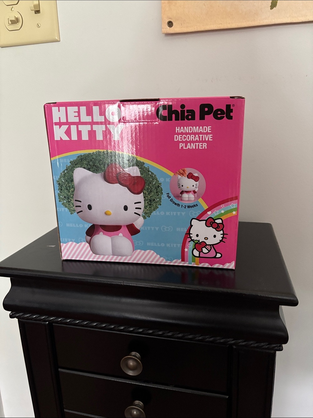 Hello Kitty Chia Pet